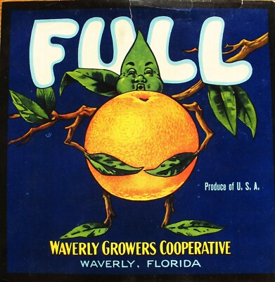 Vintage Anthropomorphic ORANGE Leaf FRUIT CRATE Label FULL Waverly FLORIDA FL