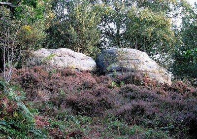Photo 6x4 Sandrocks and heather, West Park Nature Reserve, Uckfield Natur c2007