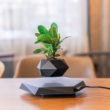 Floating Magnetic Levitating Flower Pot – Air Bonsai Planter for Home & Office D