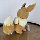Foto 10 di 17