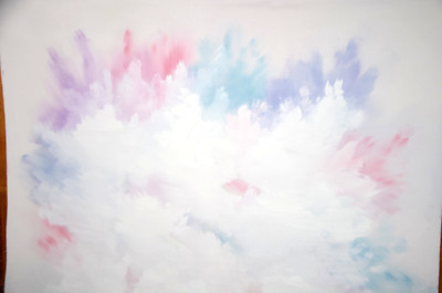 Photography Backdrop Hand Painted Pastel Pink Blue Brushstroke Vtg Large 80x70