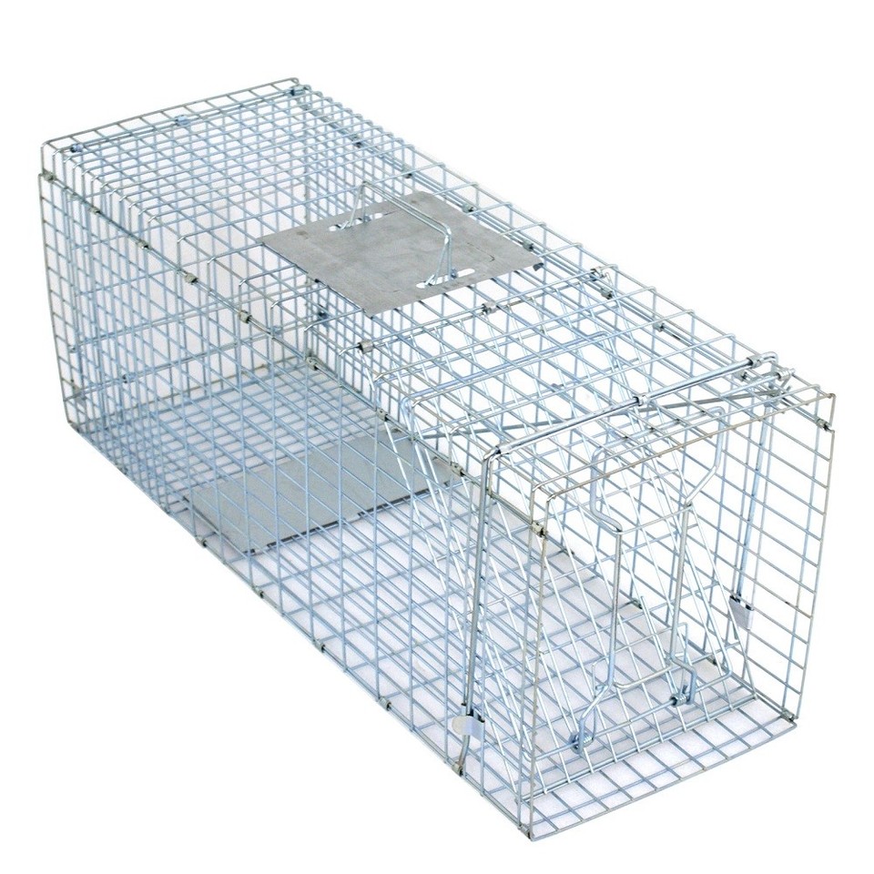 Heavy Duty Folding Raccoon Traps Humane Live Animal Cage Trap for Cat...