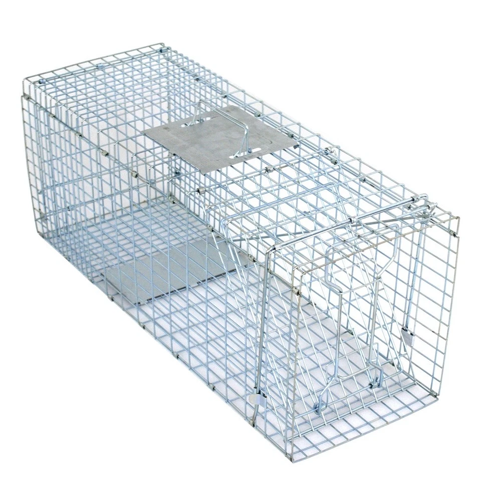 32" Live Animal Cage Trap Heavy Duty Folding Raccoon Traps Humane Cat Trap - Image 2 of 4