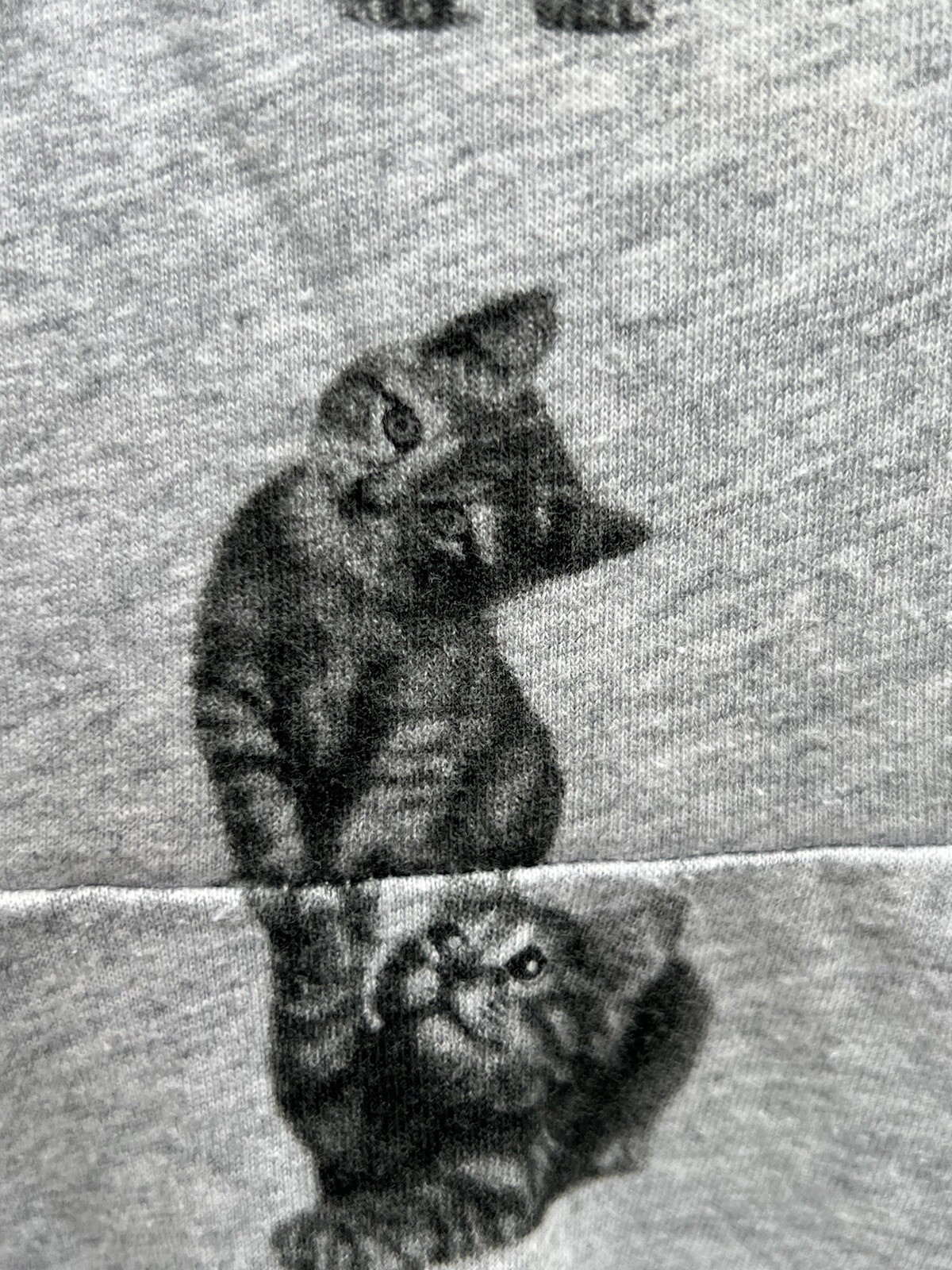 Picture 8 of 11