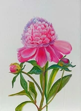 Handmade original realism pink peon floral flower oil painting 30x40 cm 12x16 in
