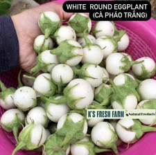 Eggplant Seeds(White+Purple Round/Long Purple/Green Thai) Cà Pháo/ Cà tím/Cà dĩa