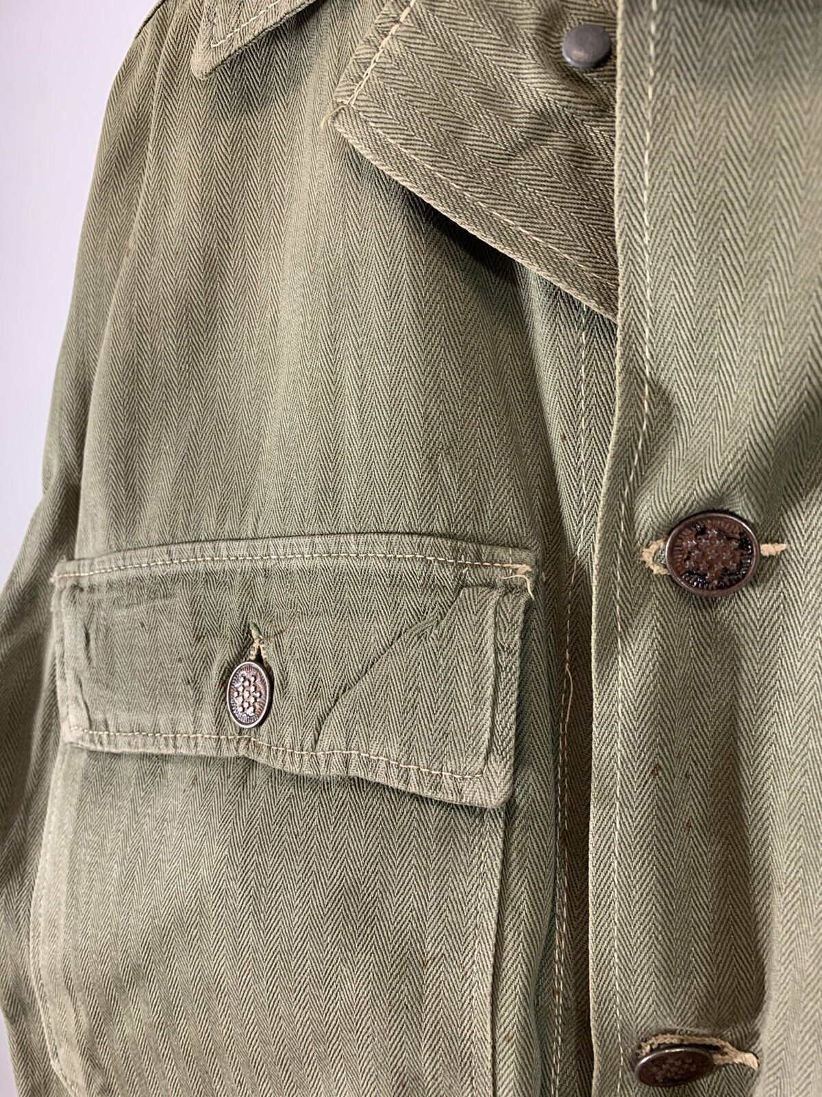 Picture 3 of 11