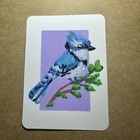 ACEO Original Art Card, Acrylic Marker Mini Painting of a Tiny Blue Jay — photo 1