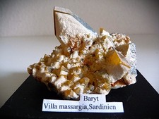 Baryt von Villamassargia,Sardinien / Italien