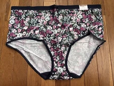 Size Sz 22/24 Lane Bryant Cacique No Show Full Brief Nylon Panty Blue Pink Rose