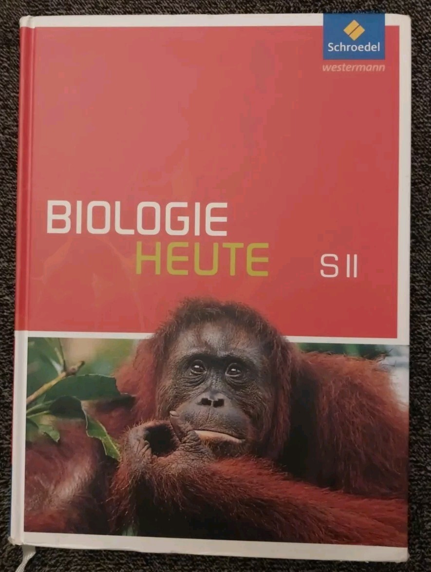 Bild 1 von 3