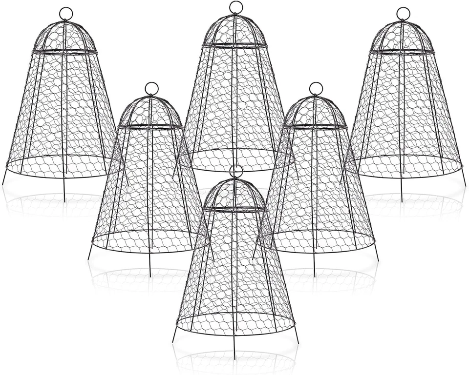Pack of 6 Extra Large Rustproof Garden Cloches, 12'' x 20'' for Plant Protection - Image 3 of 4