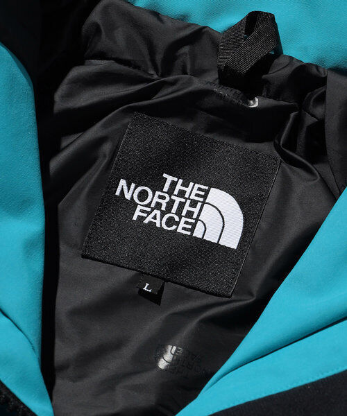 THE NORTH FACE Trans Antarctica Parka NP62238 GORE-TEX jade THE NORTH FACE Trans Antarctica Parka NP62238 GORE-TEX jade