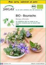 SAFLAX - Kit de culture - BIO - Bourrache - 40 Graines
