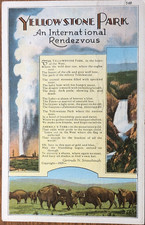 Yellowstone Park An International Rendezvous Gertrude N. Strausbaugh Postcard