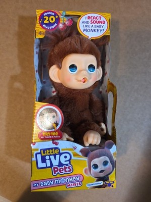 Little Live Pets Baby Monkey Mini CHIKKI CHERRY New 