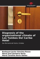 Brahayan Javier SáNchez Rosso (U. A.) | Diagnosis Of The Organizational...