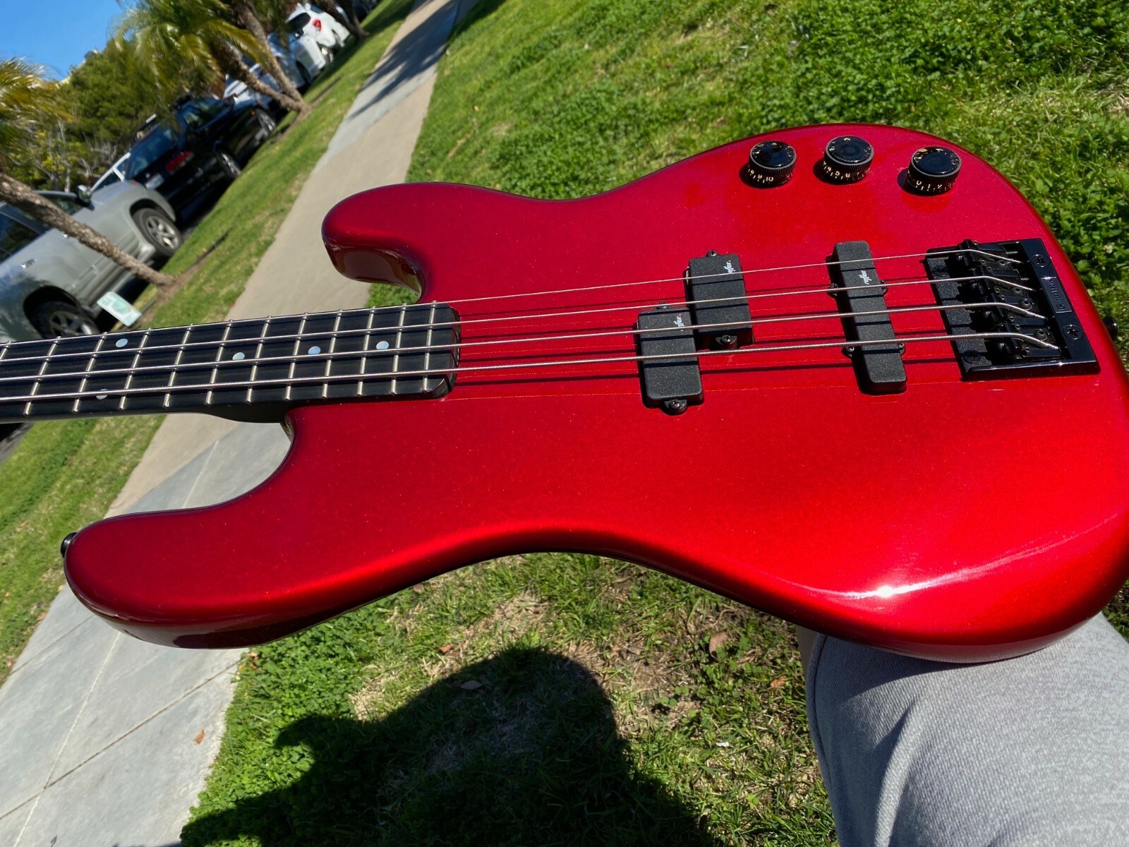 Alembic Bass for sale in UK 20 secondhand Alembic Bass