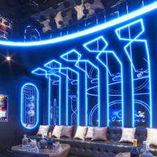 12V Blue Neon LED Strip Lights Waterproff Silicone Flexible for AD Sign Car Home