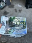 Complete Mini Egg Lights In Box Set of 2 — photo 1