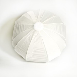 Aputure Lantern Softbox