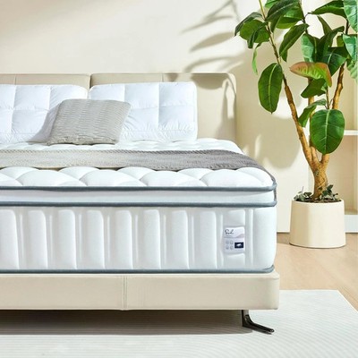12 Inch Queen Mattress in a Box Hybrid Gel Memory Foam Pocket Spring Soft Plush