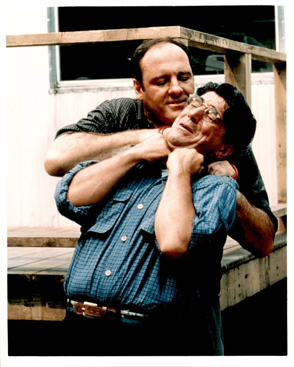 James Gandolfini College