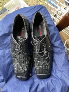 Slick Exotica | eBay display picture 3