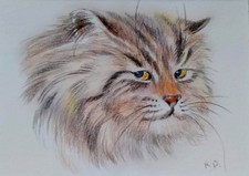 ACEO cat watercolor pencil by the author original 3,5
