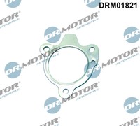 Dr.Motor Automotive Dichtung Abgasrohr FüR Dacia Sandero II Logan MCV Js_ 1.2