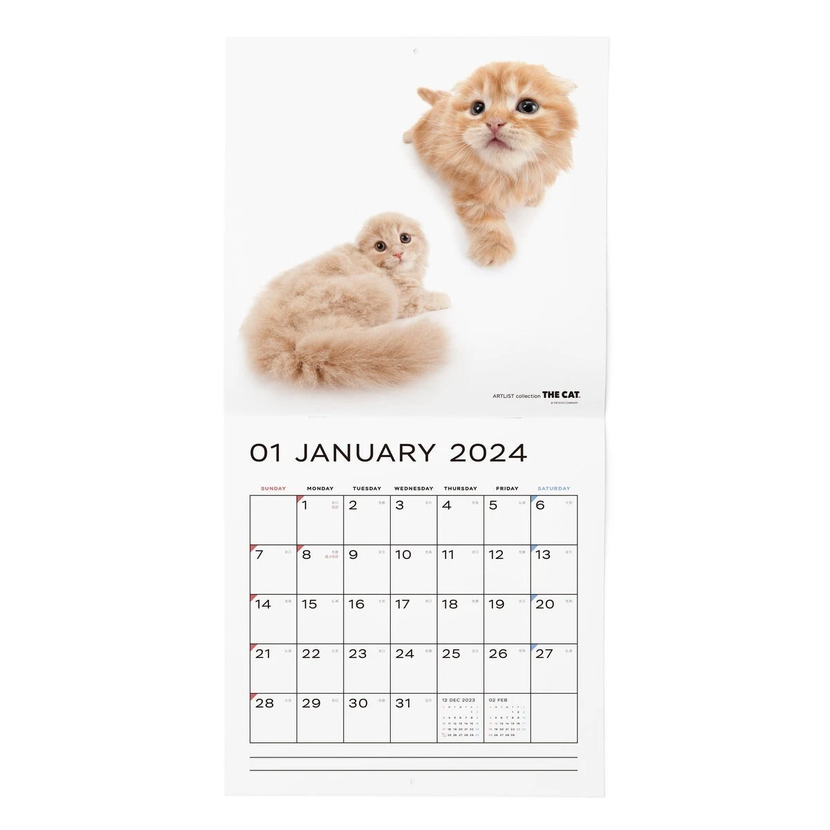 THE CAT 2024 Calendar Large Size All Star 290 × 290mm | eBay
