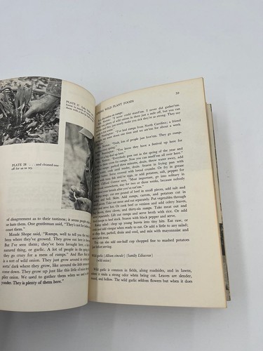 Foxfire 2 - Picture 9 of 10