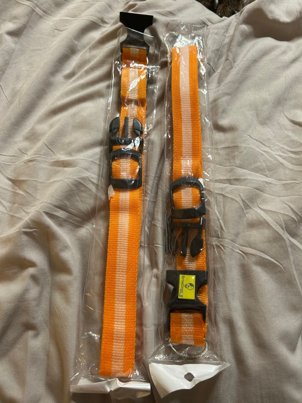 Foto 2 di 2