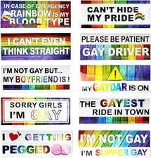 10-pack Magnetic Rainbow Bumper Decals, Funny Gay Pride Car Stickers for Vehicle