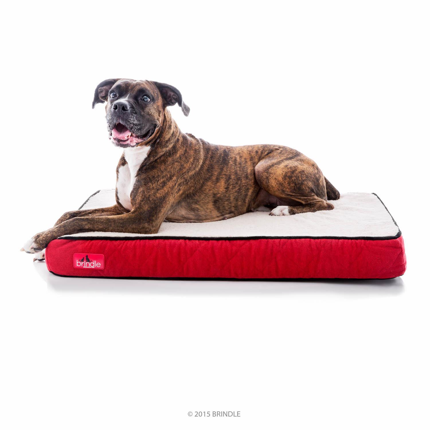 brindle memory foam dog bed