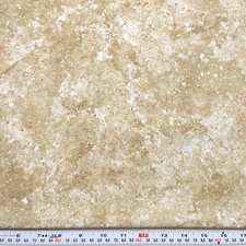 Stonehenge by Sunshine Cottage Northcott Beige Cotton Fabric Remnant 11" x 43"