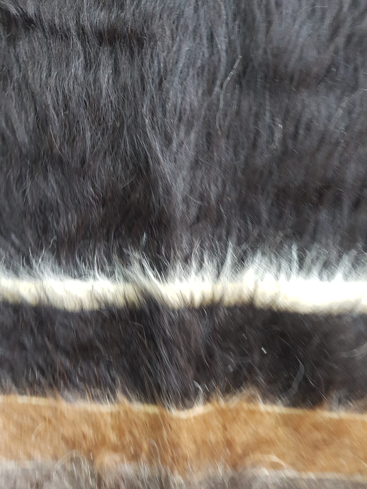 Bild 10 von 12