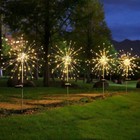 Bild 12 von 24