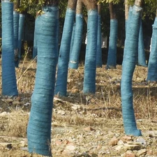 2 Rolls Outdoor Tree Protector Wraps Plastic Film Thermal Insulation