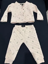 For All Momkind Pink Floral Two Piece Long Sleeve/long Pants Size 18m