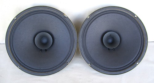 Unbranded AK-1005 8-Ohm 10" 15-Watt Woofer Speakers Pair Tested