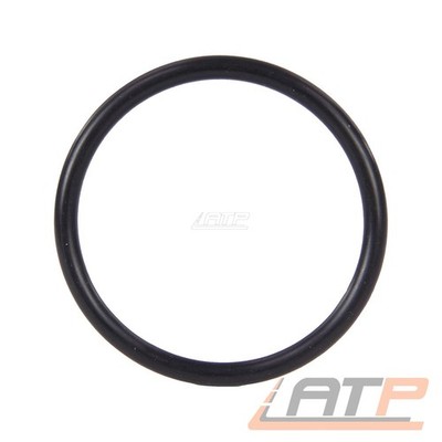 DICHTRING O-RING Ø47X4 THERMOSTAT FÜR VW POLO 9N 1.4 16V POLO 6K 6N 1.4 1.6