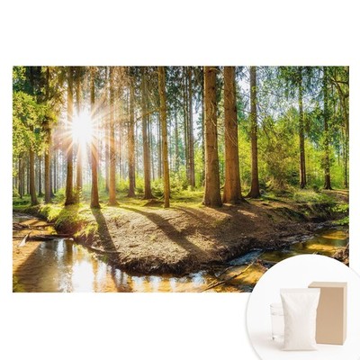 Non-Woven XXL Wallpaper 3D Effect Bedroom Radiant Sun In A Forest Landscape