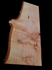 XL Birdseye Maple Burl wood Slab, EPOXY/STABILIZING TURNING Wood, Ambrosia Maple