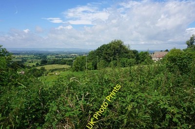 Photo 12x8 Moreton Hill Farm Randwick The farm occupies a position on the  c2016
