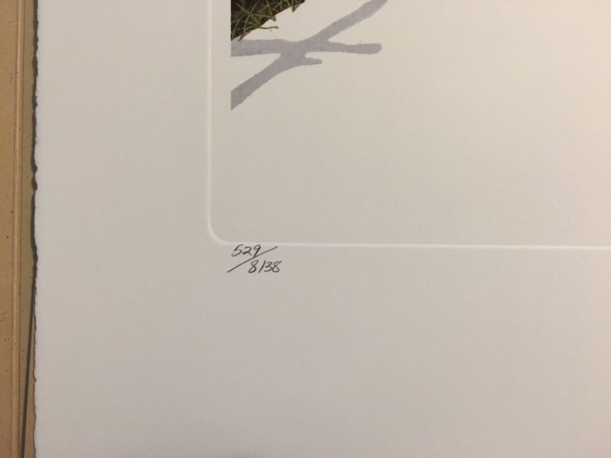 真作 滝平二郎 火の鳥を退治したあさ 木版画 直筆サイン - メルカリ