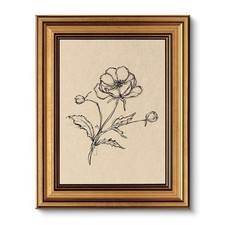 VIYYIEA Vintage Gold Framed Wall Art for Living Room, Poppy Canvas Prints Hom...