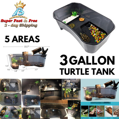 turtle plastic tank