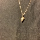 14K Solid Gold Conch Shell 3D Pendant Necklace & Box Chain 16” Beach — photo 2