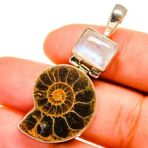 Ammonite Fossil, Pierre de Lune 925 Pendentif Argent Massif 4.1cm Bijoux  P10751F | eBay